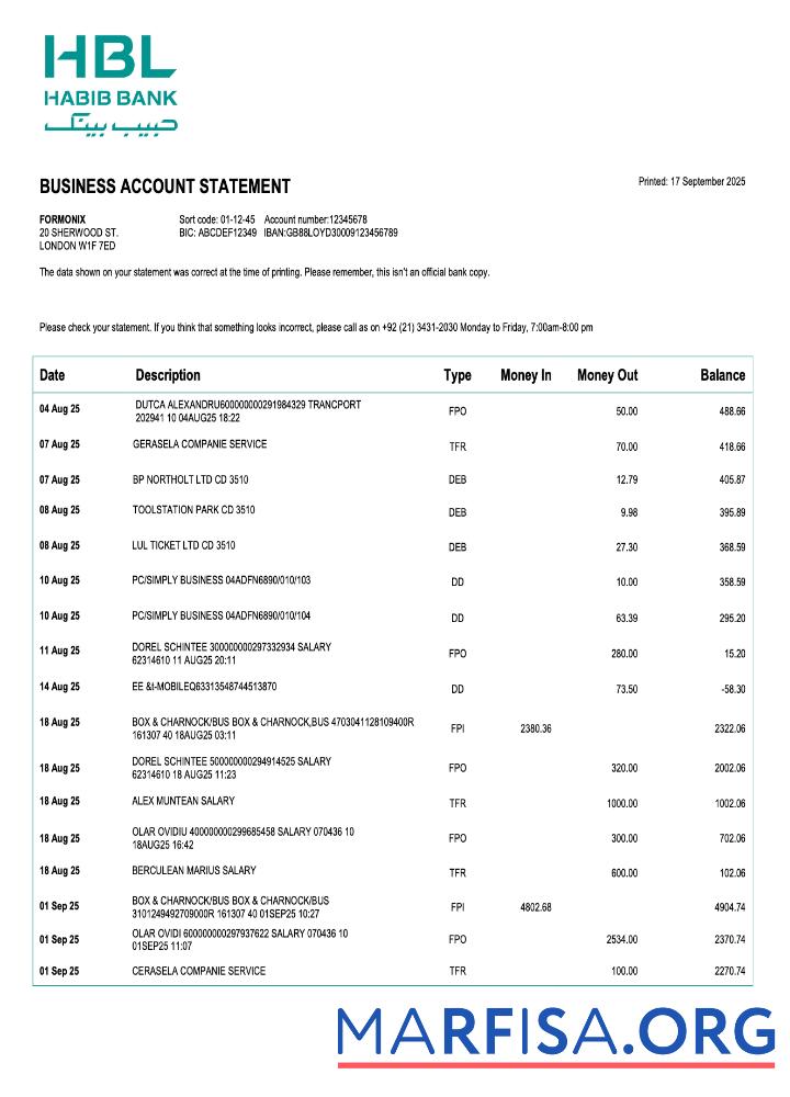 Printable Pakistan Habib business checking account statement Word and PDF template